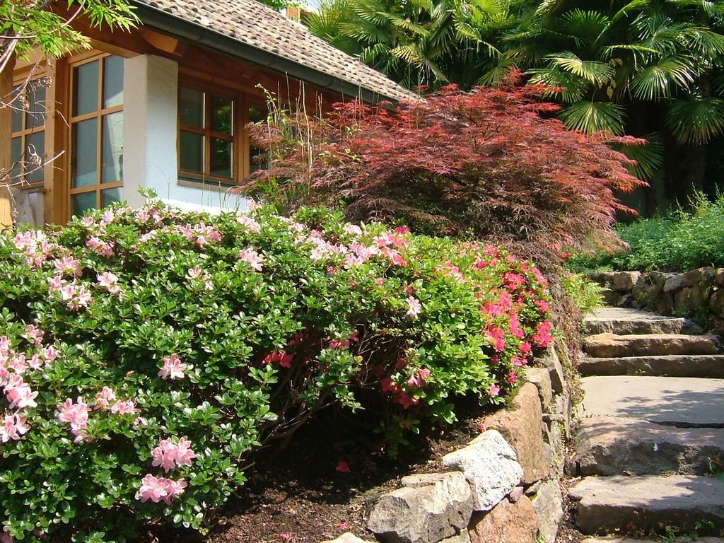 Villa Sissi Λάιβες Εξωτερικό φωτογραφία