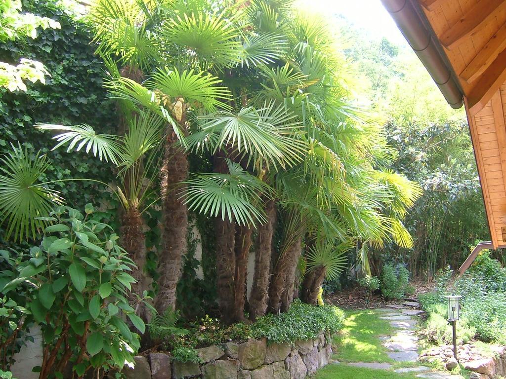 Villa Sissi Λάιβες Εξωτερικό φωτογραφία